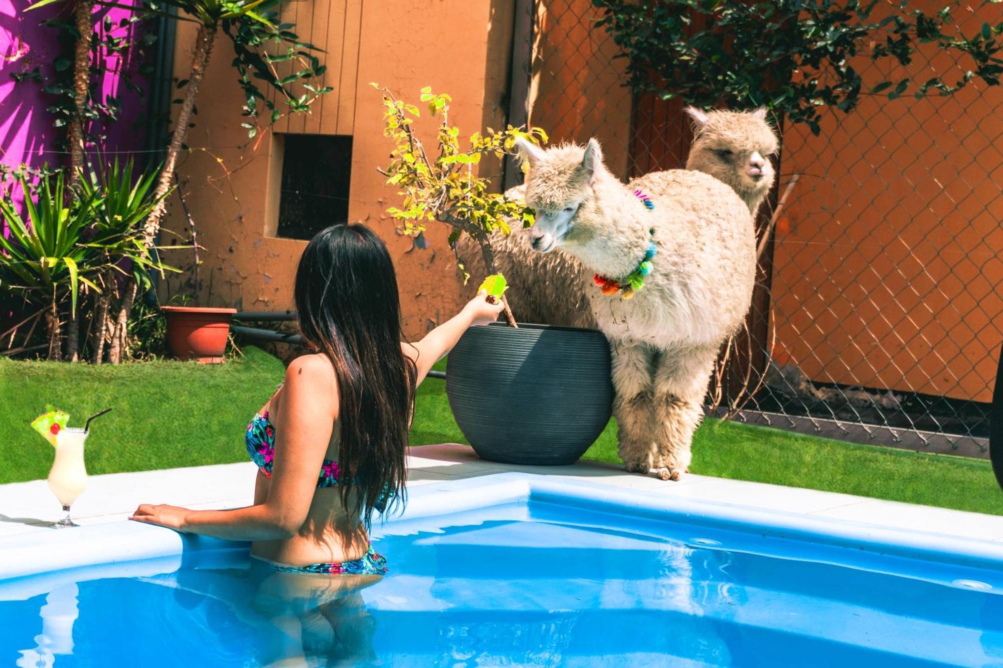 Hotels Collect Adriana Monet Arequipa Kültér fotó